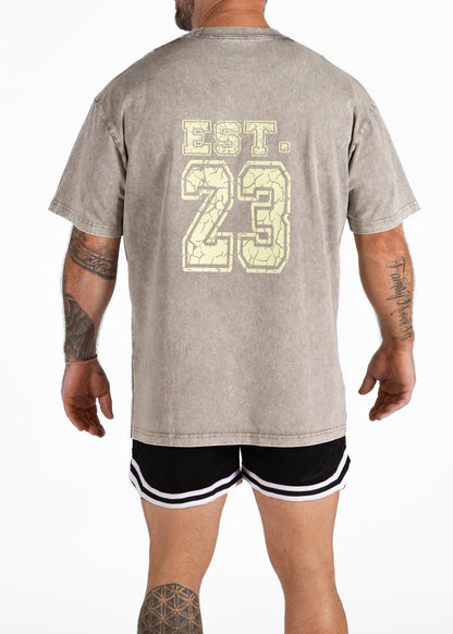 Vanguard Oversized Tee - STONE